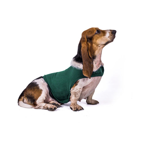 Calmpaw Comfort Vest verde scuro indossato da un cane